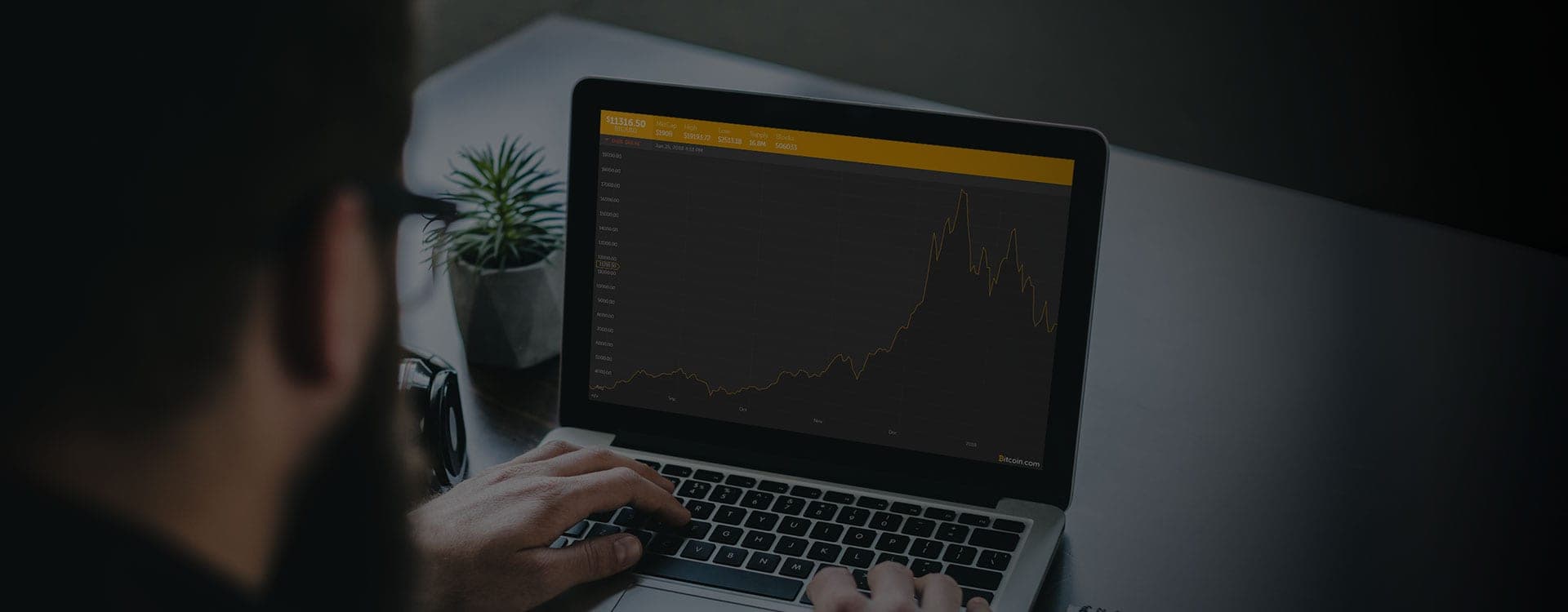 GrowBot team collaborating on automated trading strategies